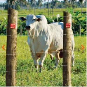 90_arame_farpado_rodeio_250m_arcelomittal_56755_2_5525726e86fb29ed8183fd63655d6e7d